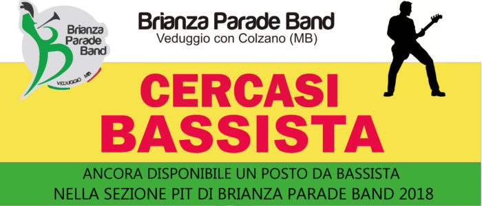 cercasi BASSISTA